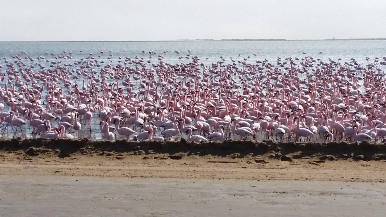 Bella Luna Bed And Breakfast Walvis Bay Extérieur photo